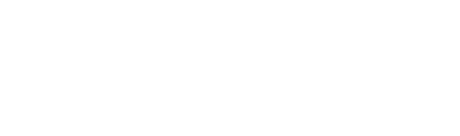 Veteran Coalition International Logo